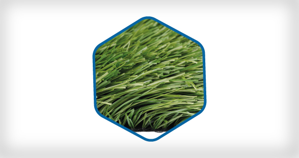 Artificial Grass Exclusive Catalog