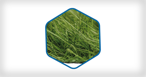 Hybrid Grass Catalog