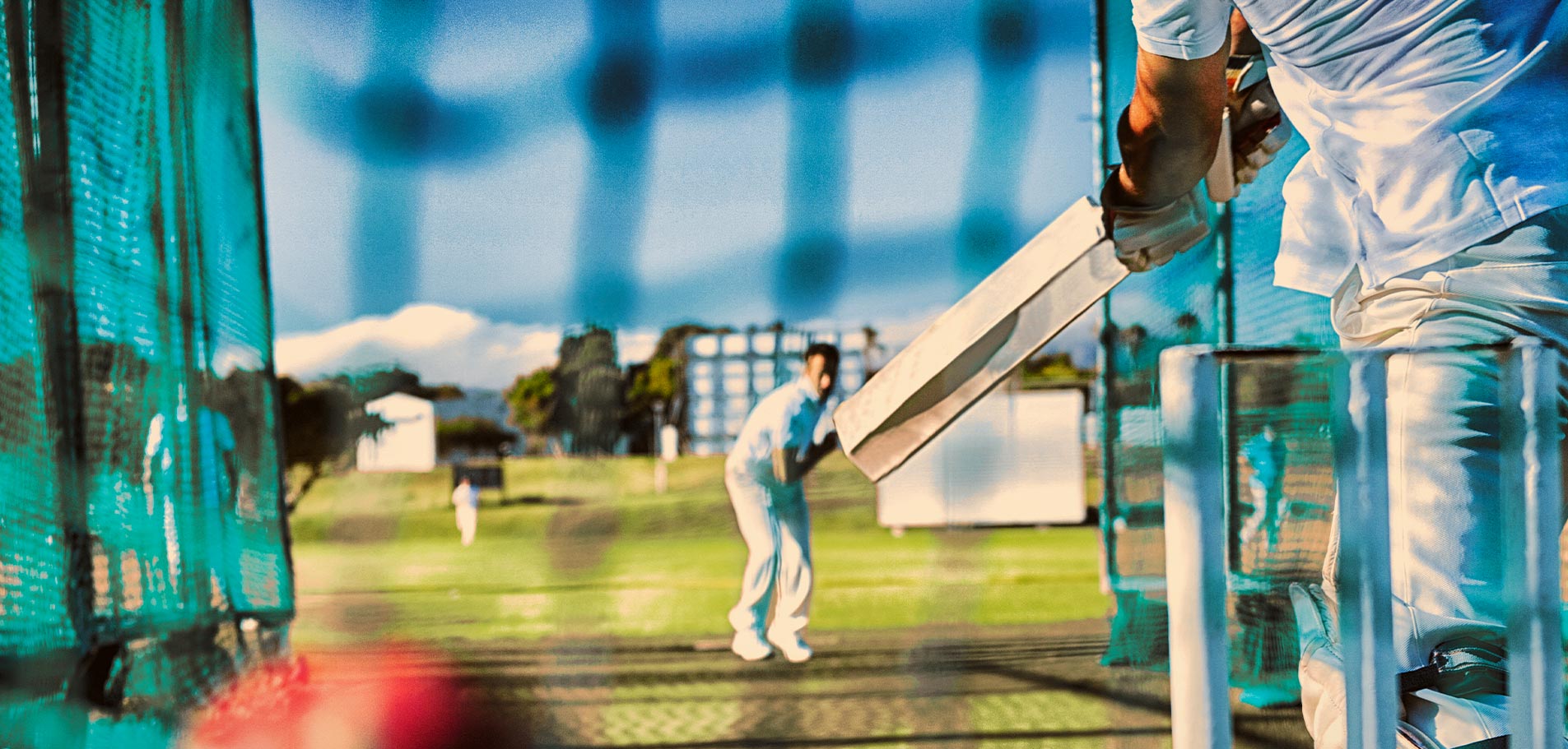 Cricket Field 1