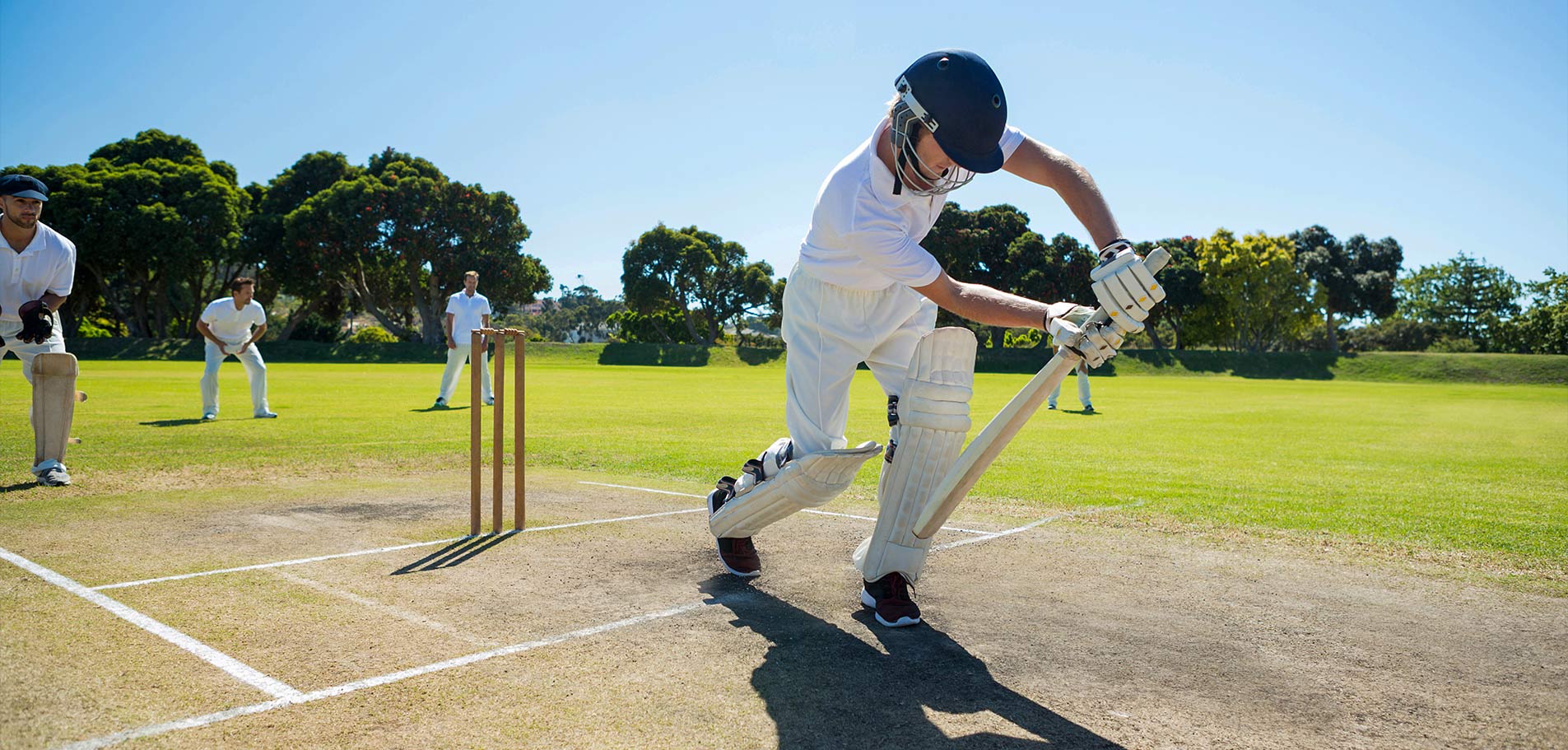 Cricket Field 1
