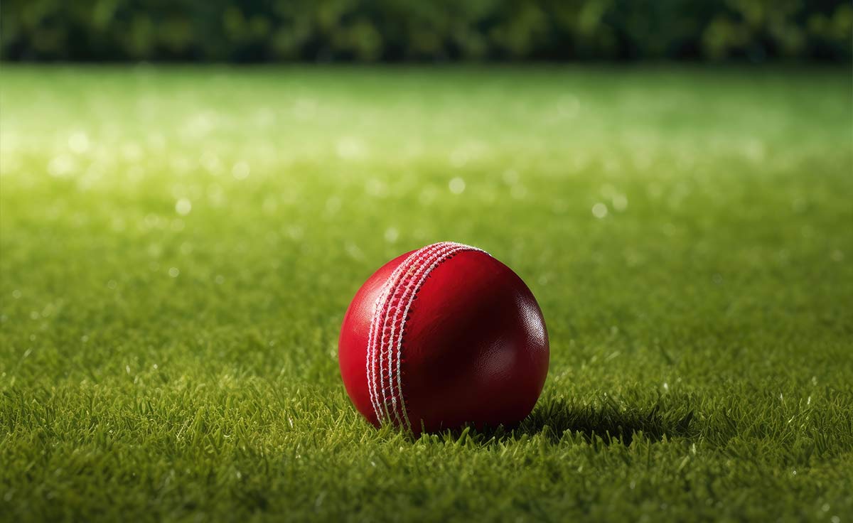 Cricket Fields1?>