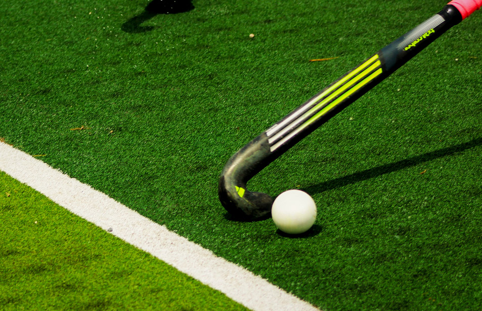 Cursos Certificados por la FIH