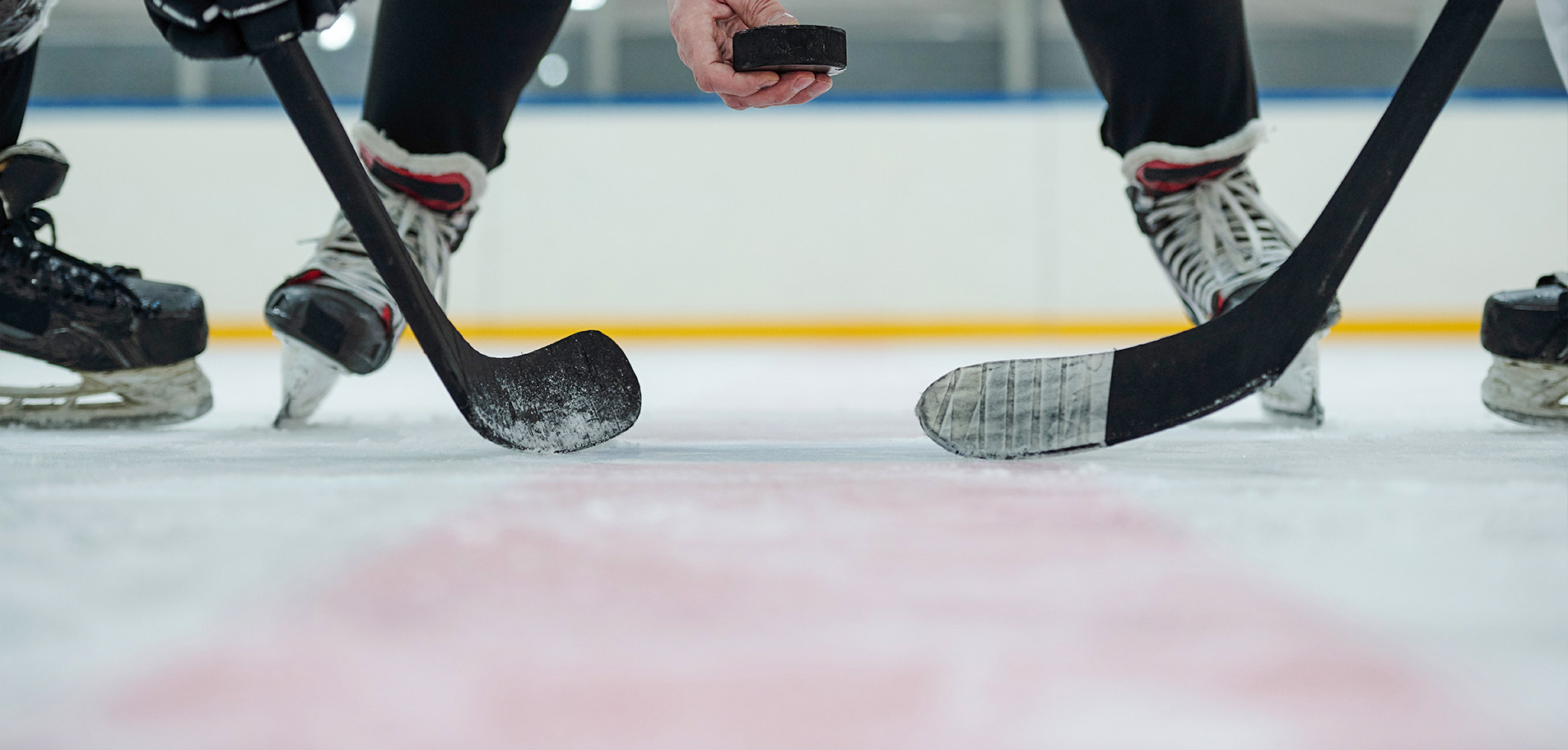 Ice Hockey 3