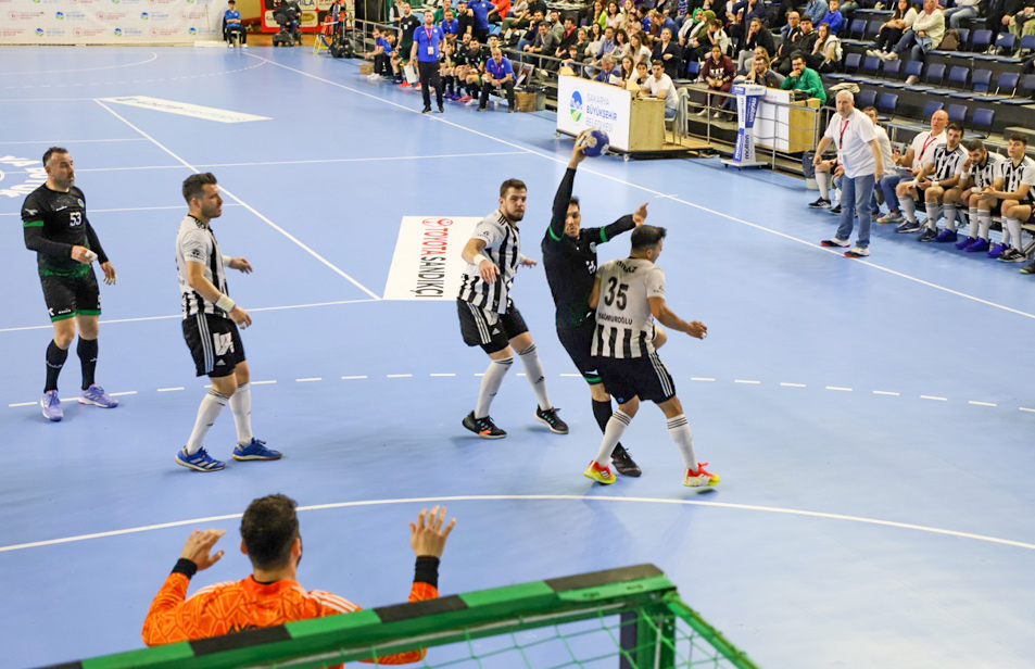 IHF Standards