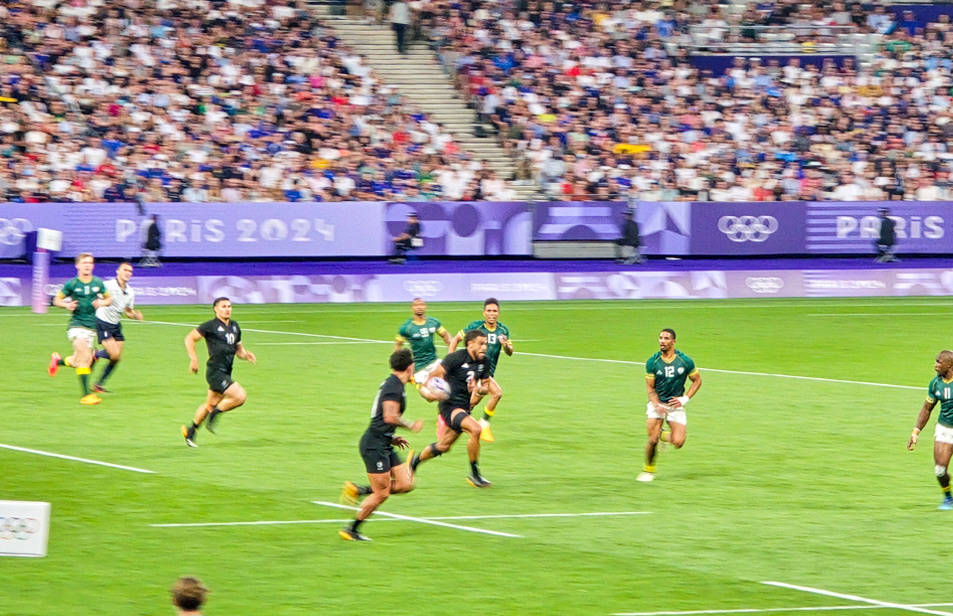 Opciones de césped diferentes