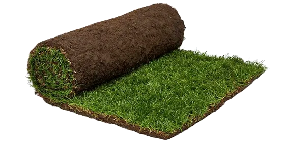 Césped Natural