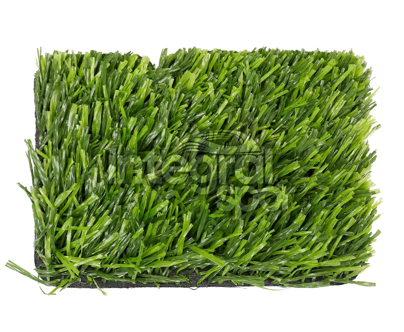 DuoGrass