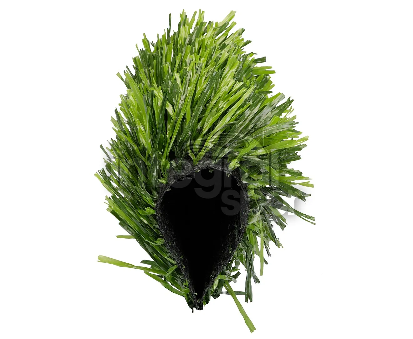 DuoGrass