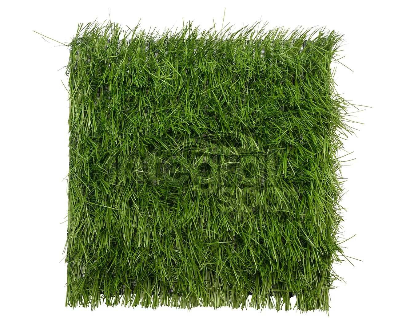 Hybrid Grass