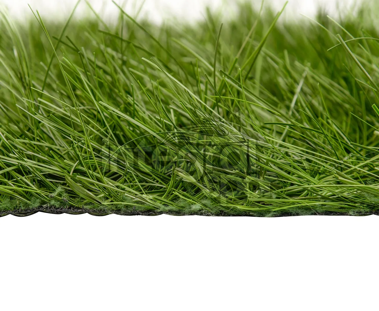 Hybrid Grass