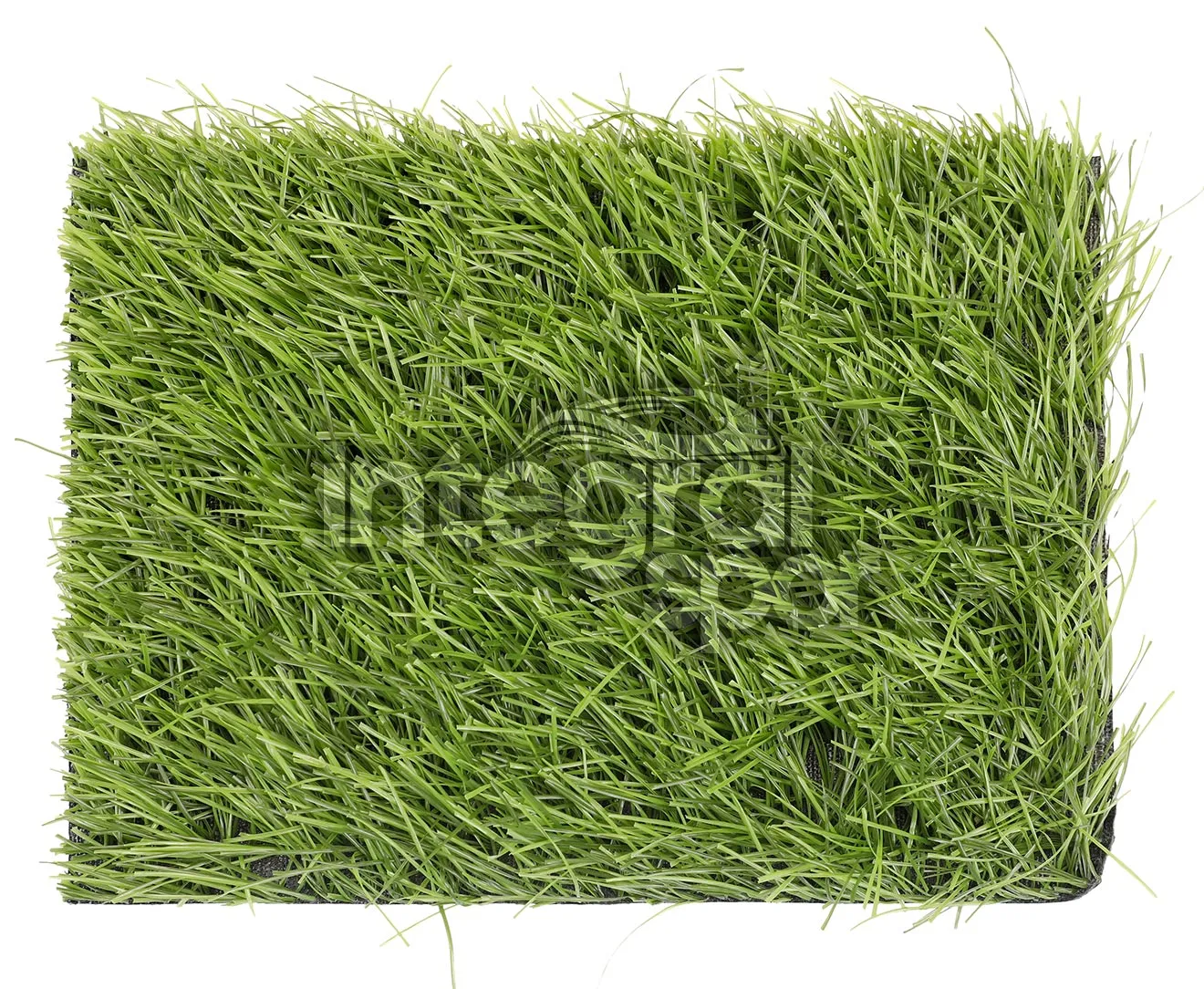 PowerGrass