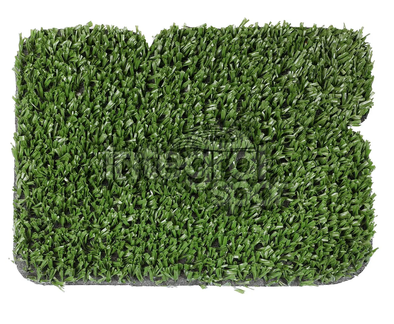 Tennis Grass