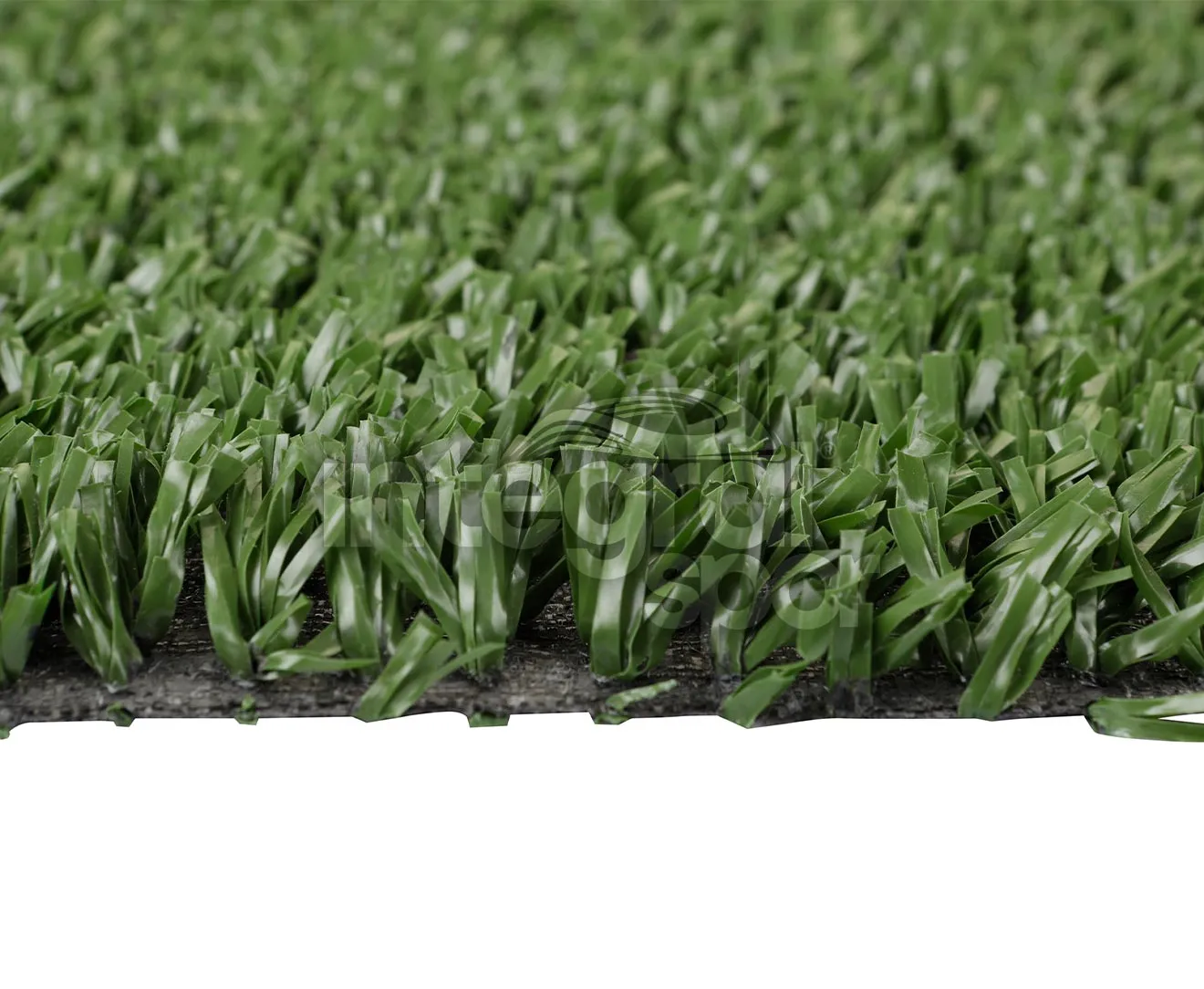 Tennis Grass